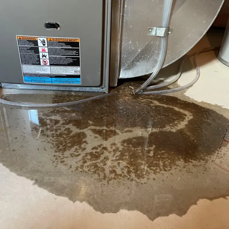 Appliance Leak Cleanup in Oakwood, NY